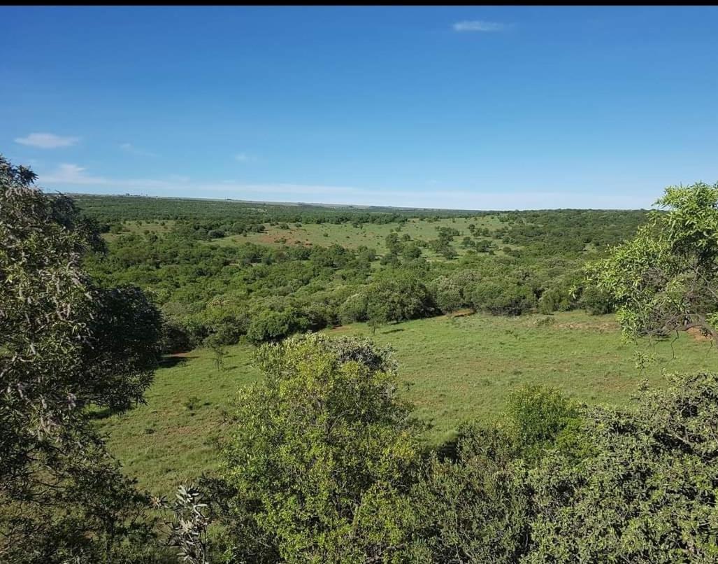 Вилла Kareekloof Game Farm Дерби Экстерьер фото